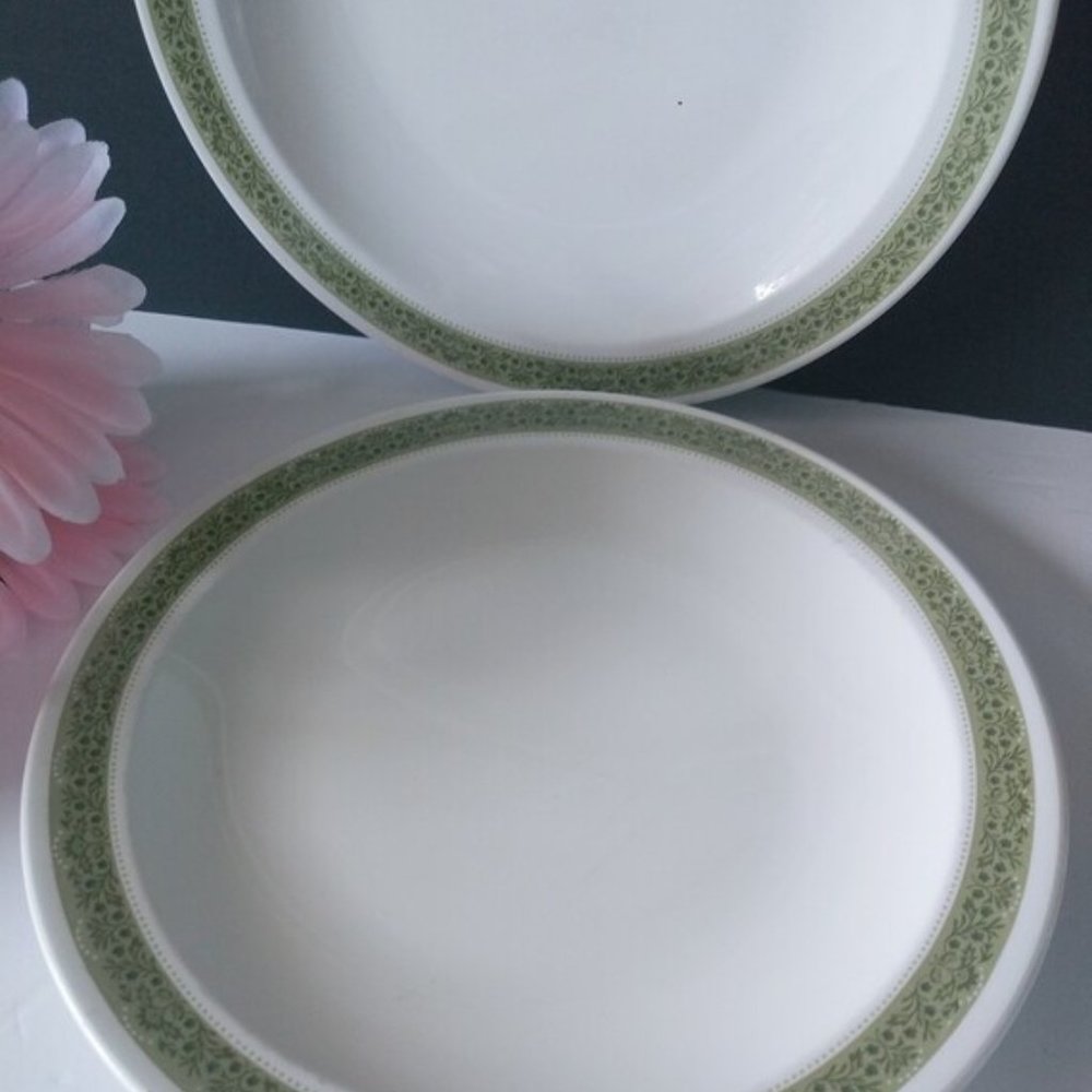Two Centura Lynwood 8.5" Plates